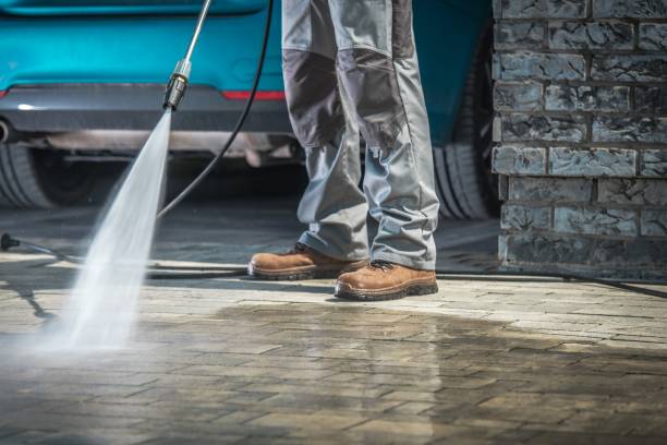 Best Spring Cleaning  in Falconer, NY